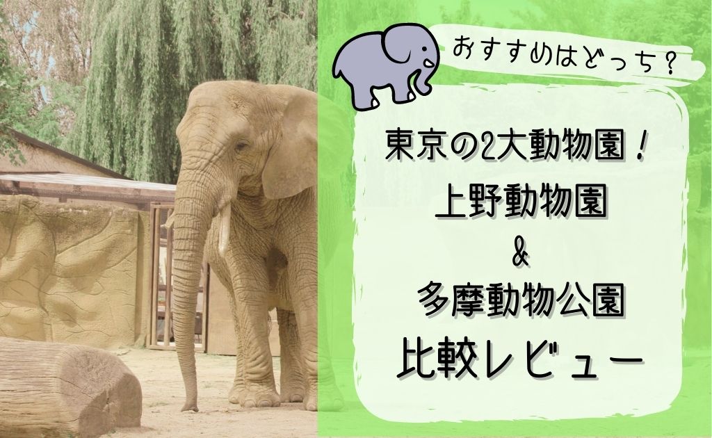 東京の動物園 上野と多摩どっちがオススメ 実際に訪れた印象を比較 ソライロきなこ
